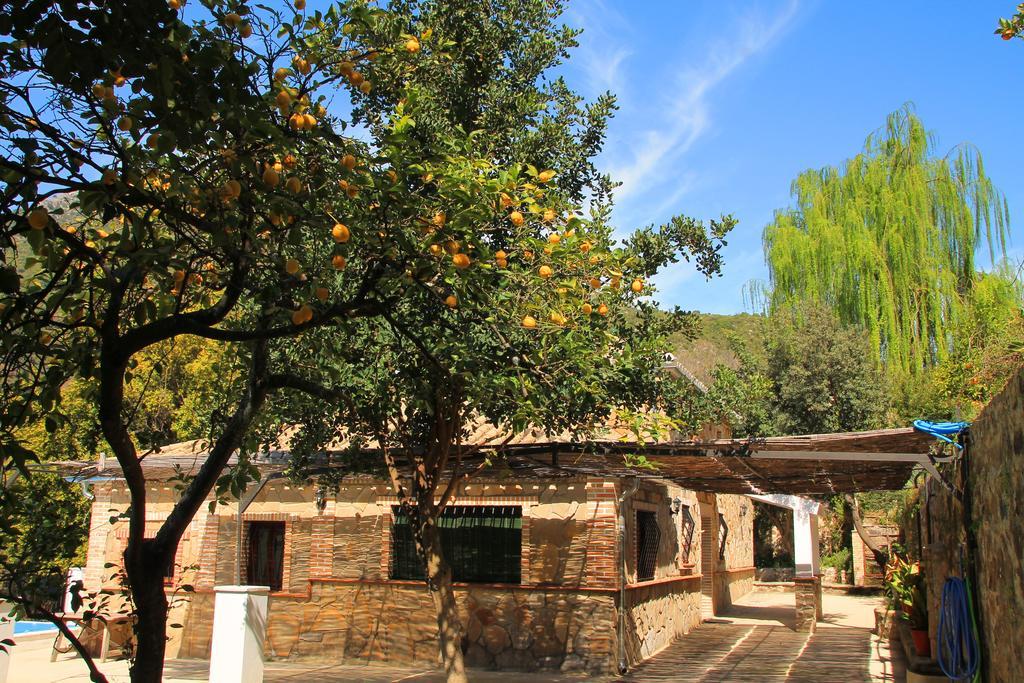 La Fuente De El Nacimiento Hostal Benamahoma Exterior foto